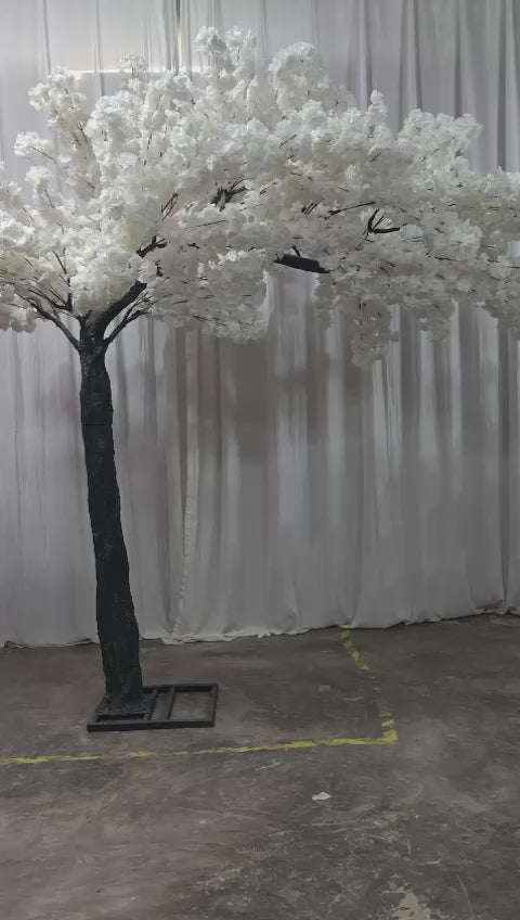 10ft cherry blossom tree - White