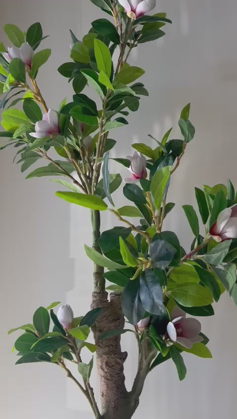 indoor magnolia plant Artificial Magnolia Flower Tree – 5ft