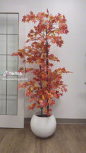Load and play video in Gallery viewer, Artificial Maple Tree - 6&#39;
