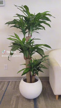 Load and play video in Gallery viewer, Artificial Yucca tree - 5.3&#39;
