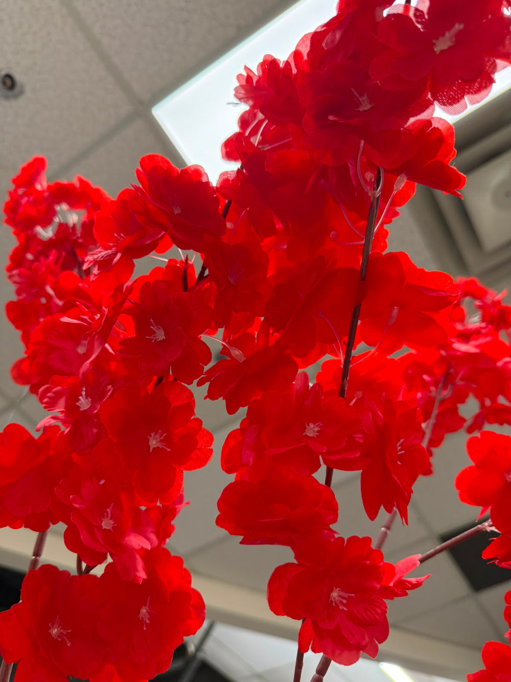 Bright red artificial cherry blossom branches with layered  flowers, photographed indoors against a ceiling and light fixture background.