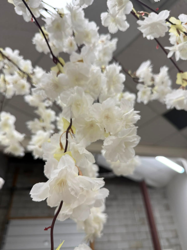 White artificial cherry blossom branches with layered flowers and dark brown stems, photographed indoors against a blurred ceiling and wall background.