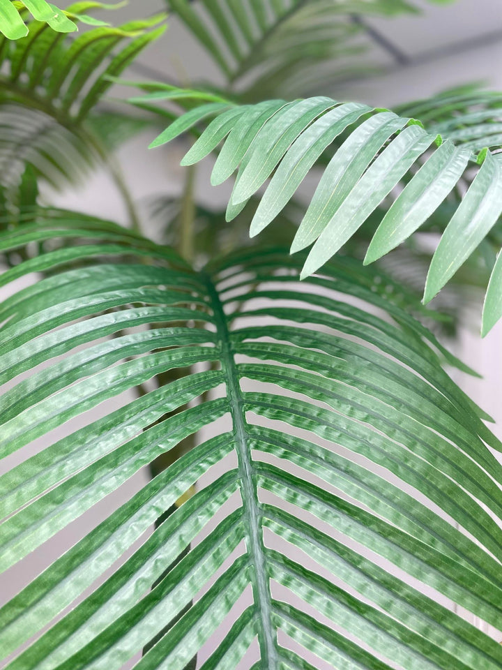 Close-up of vibrant green palm leaves, showcasing the natural texture and detail of the foliage.