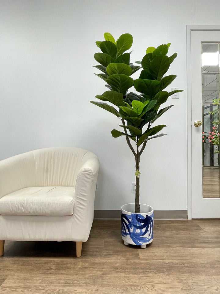 A tall indoor plant with broad green leaves placed in a white blue pot, positioned near a door that allows natural light to highlight its vibrant foliage.