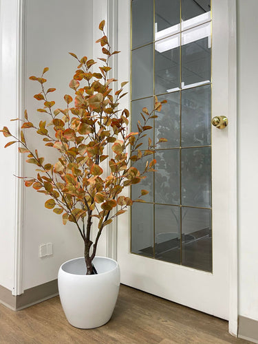 Indoor plant with autumn-colored leaves in a sleek white pot, adding a warm and seasonal touch to the space.