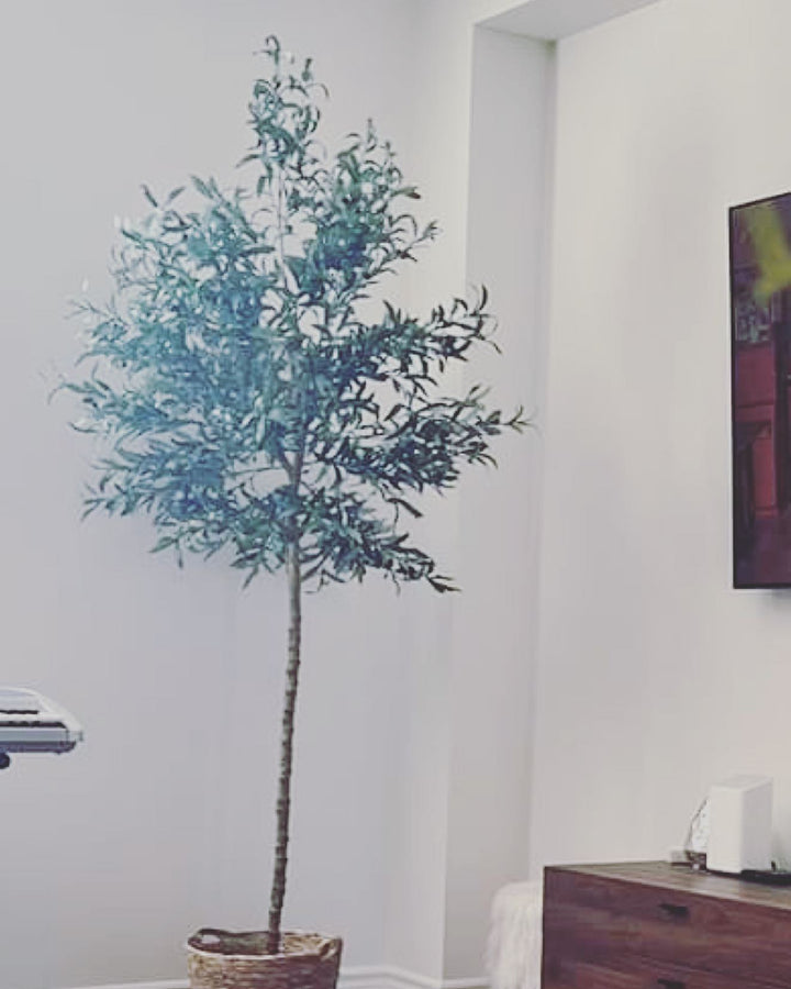 Elegant living room setup featuring a tall artificial olive tree in a white pot positioned next to a modern beige sofa with gold trim. The room has a warm, brown-toned wall adorned with a colorful landscape painting, creating a cozy and sophisticated atmosphere