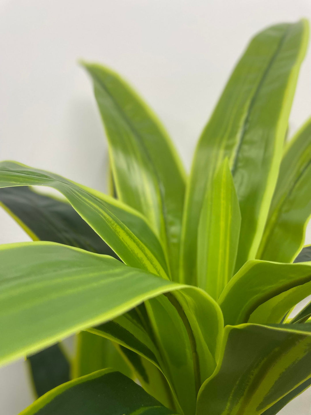 Close-up of vibrant green artificial plant leaves with realistic texture and natural detailing, ideal for home or office decor.