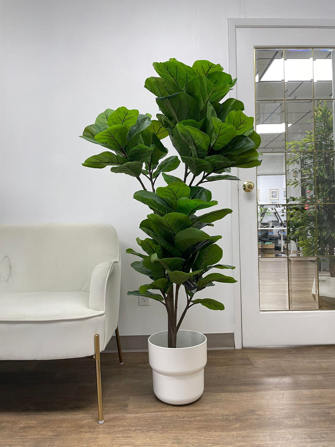 This fiddle-leaf fig tree in a sleek white pot adds a fresh and modern touch to the space, perfectly balancing the minimalistic decor with its vibrant greenery.