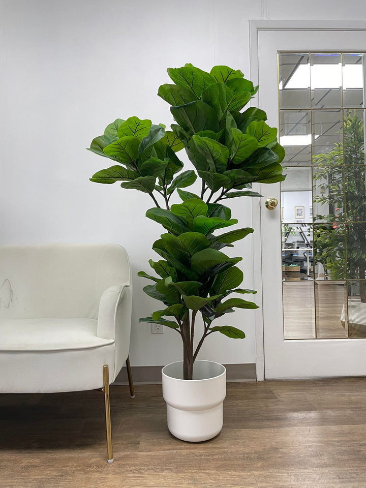 This fiddle-leaf fig tree in a sleek white pot adds a fresh and modern touch to the space, perfectly balancing the minimalistic decor with its vibrant greenery.