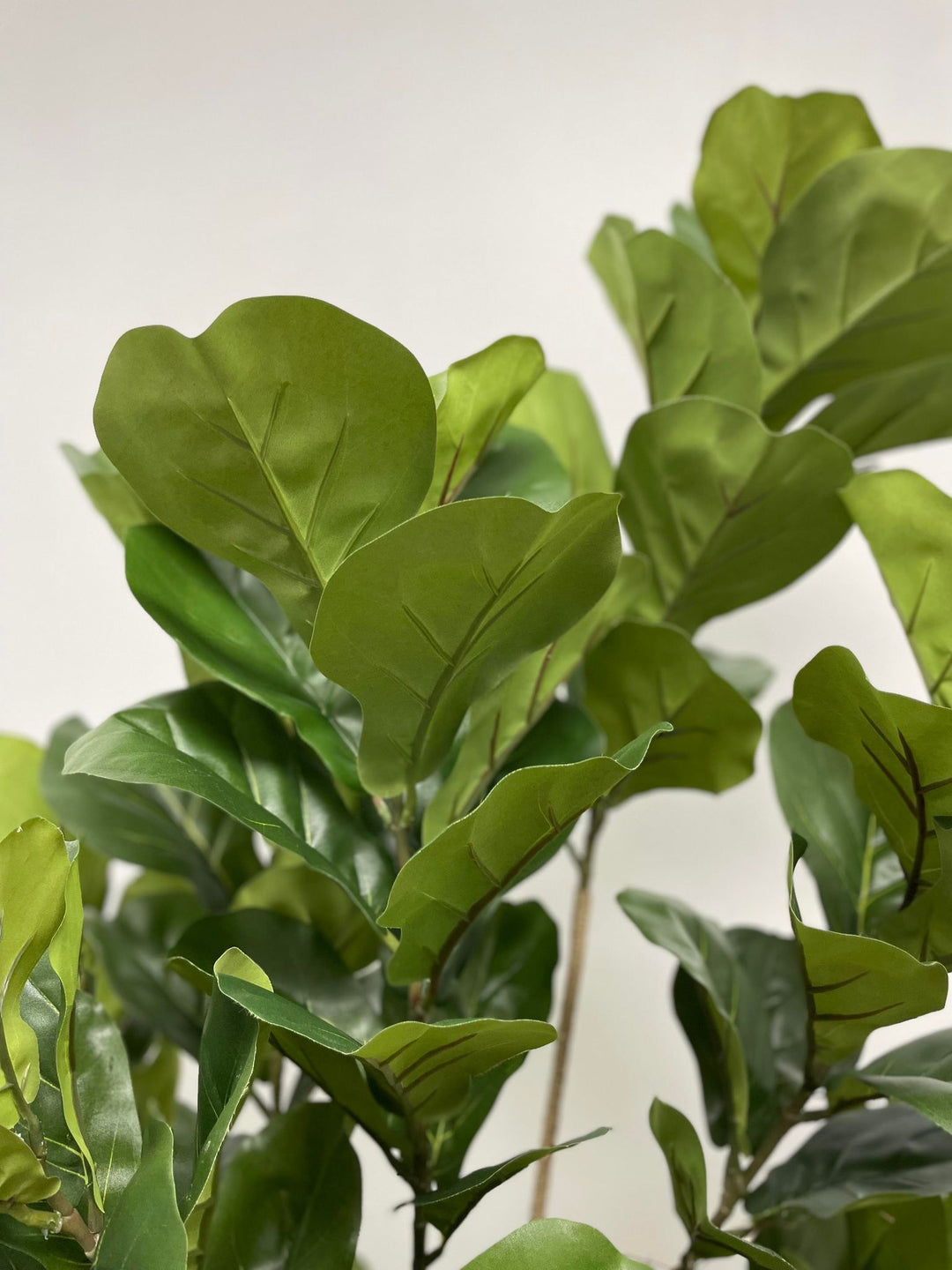 Close-up of large, vibrant green fiddle-leaf fig leaves, showcasing their realistic texture and natural veining. The leaves are broad and lush, adding to the plant's lifelike appearance.
