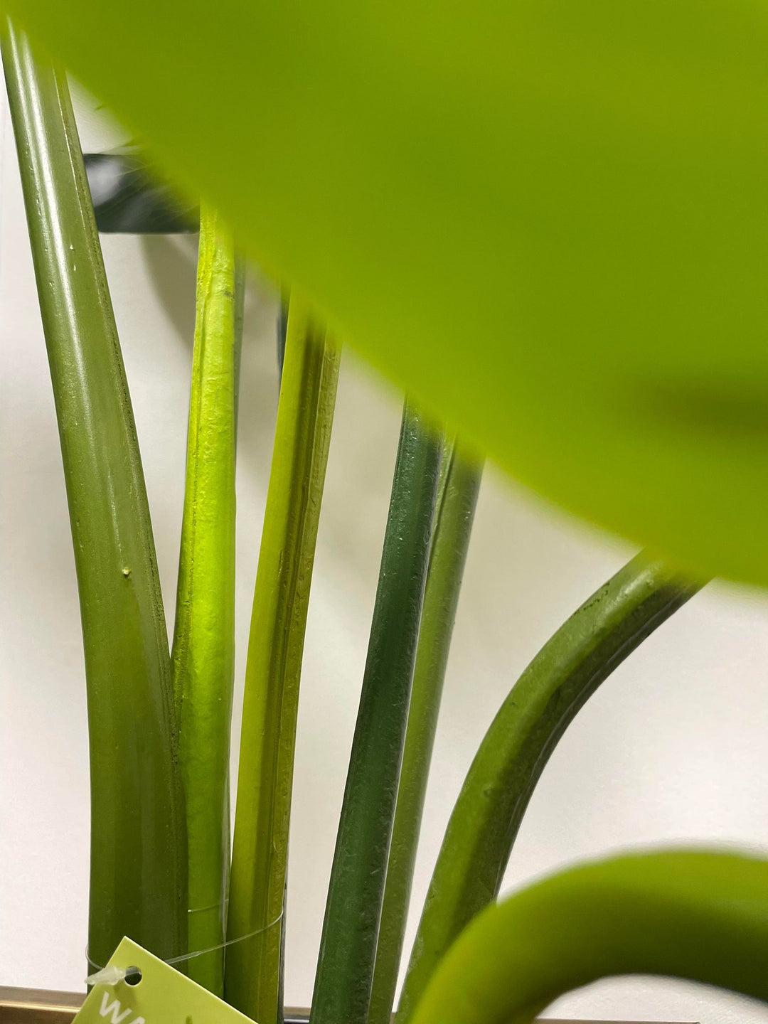 Close-up view of artificial monstera plant stems, featuring vibrant green shades and a natural texture. The image captures the details of the stems with a blurred foreground leaf, adding depth and realism to the plant's appearance.
