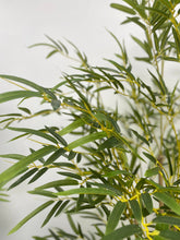 Charger l&#39;image dans la galerie, realistic artificial bamboo 
