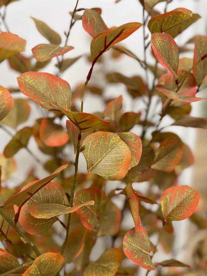Close-up of autumn-colored leaves with a realistic texture, showcasing warm shades of orange and red.
