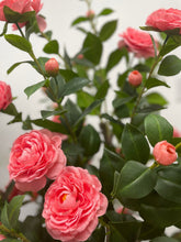 Charger l&#39;image dans la galerie, Arbre à fleurs de camélia artificiel (160 cm)
