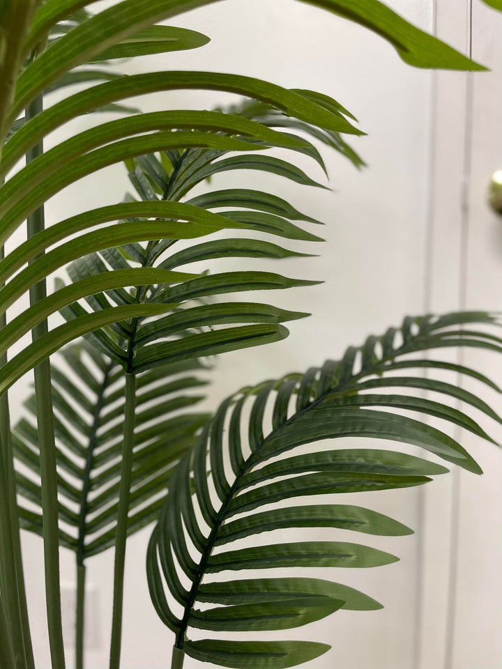 Close-up of vibrant green palm leaves, showcasing the natural texture and detail of the foliage in a serene indoor setting.