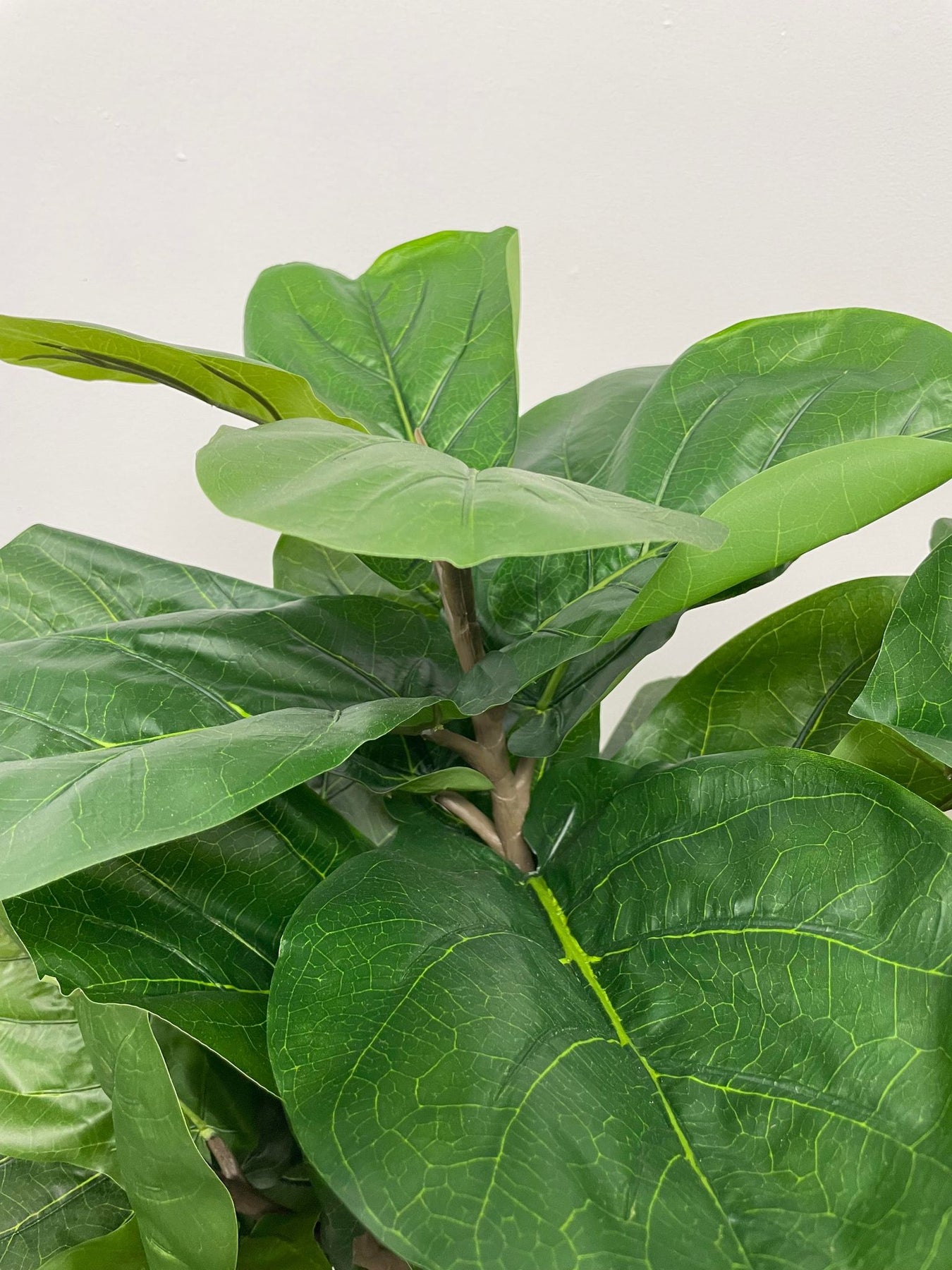 Artificial Fiddle Fig Tree – 5.3' (160cm) | Modern Indoor Greenery ...
