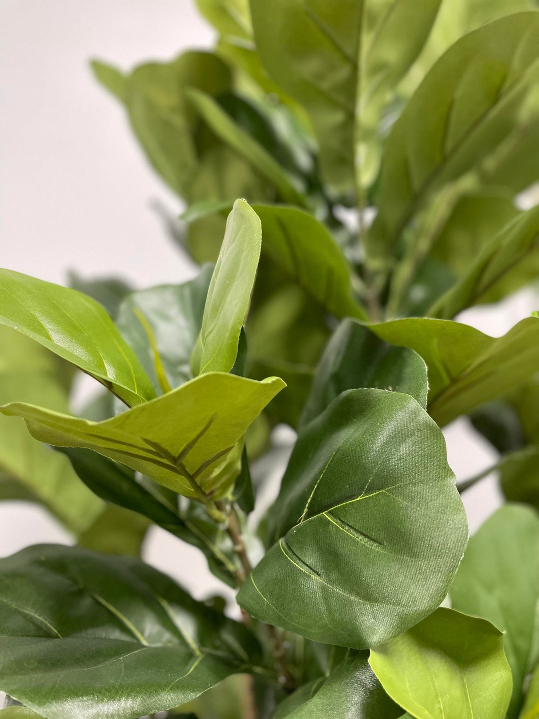 Close-up of large, vibrant green fiddle-leaf fig leaves, showcasing their realistic texture and natural veining. The leaves are broad and lush, adding to the plant's lifelike appearance.