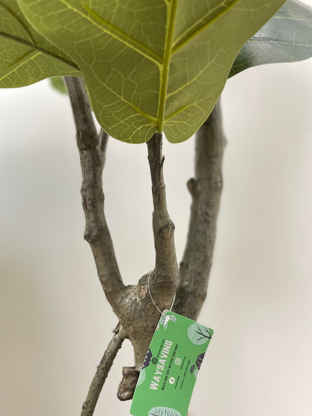 A close-up of a fiddle-leaf fig tree's trunk and leaves, with a green tag from "WAYSAVING" attached to the branch, highlighting the brand. The detailed veins on the leaves and the textured bark add a natural touch to the scene.