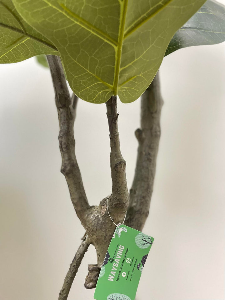 A close-up of a fiddle-leaf fig tree's trunk and leaves, with a green tag from "WAYSAVING" attached to the branch, highlighting the brand. The detailed veins on the leaves and the textured bark add a natural touch to the scene.