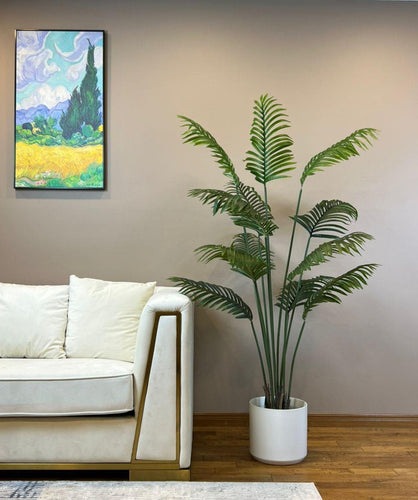 Elegant living room setting featuring a lush green palm plant in a black pot beside a modern white sofa with gold accents.