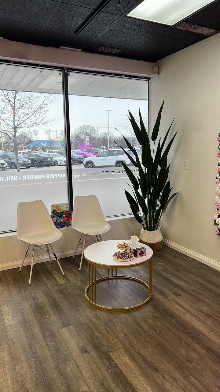 A modern waiting area with large windows showcasing a view of the parking lot outside. The space features two white chairs, a round coffee table with snacks, and a tall artificial bird of paradise plant in a white planter. The plant adds a touch of greenery to the clean and minimalist decor, which includes wooden flooring and a floral wall decoration on the right
