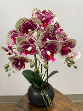Charger l&#39;image dans la galerie, Orchidée Artificielle - Teinte Rose et Blanche
