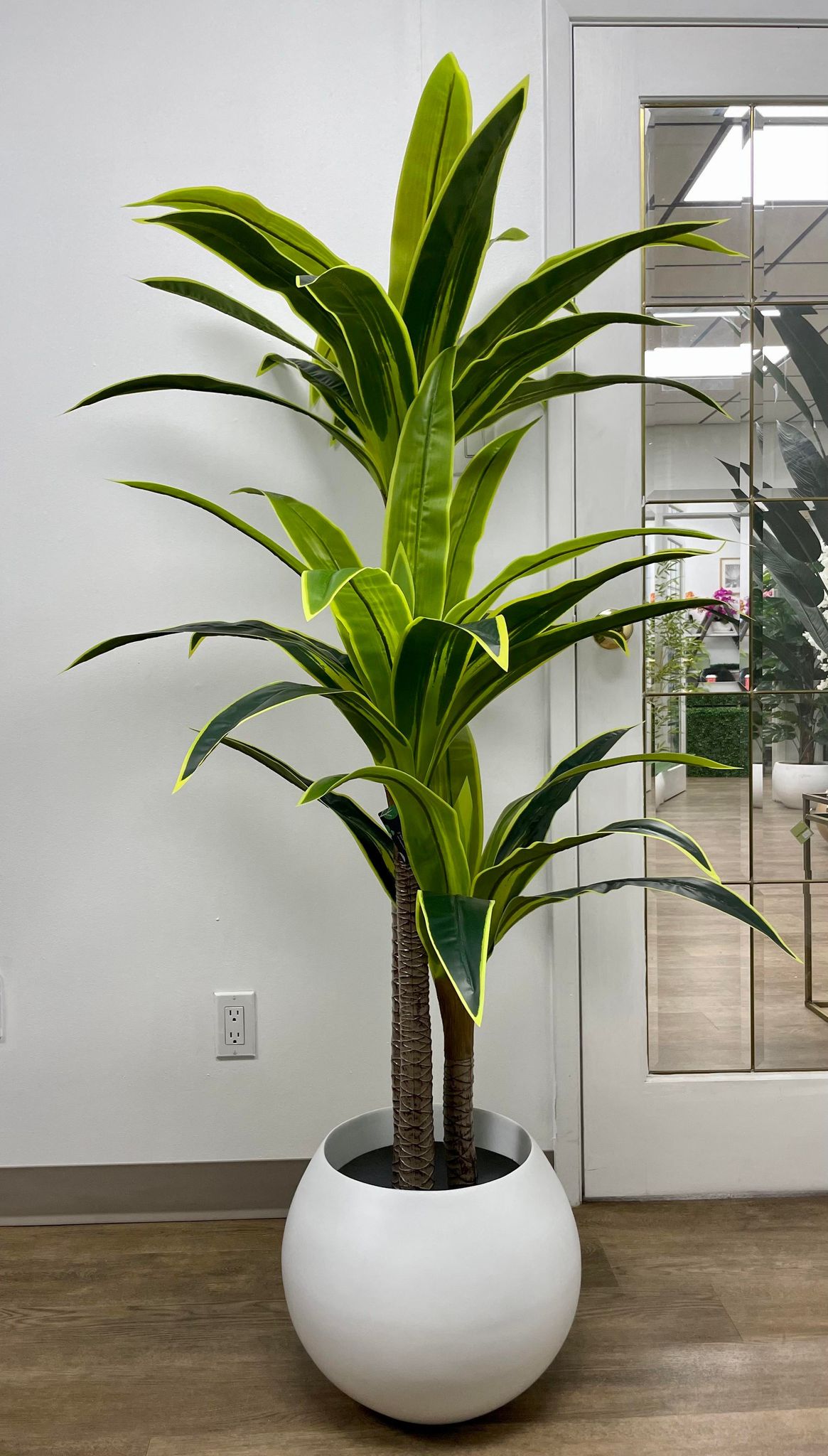 こたつ Yucca Artificial Yucca Plant – 6ft (180cm) | Modern Indoor Greenery