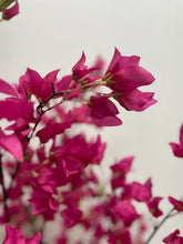 Charger l&#39;image dans la galerie, Artificial Bougainvillea Flower tree (pink) - 5&#39;
