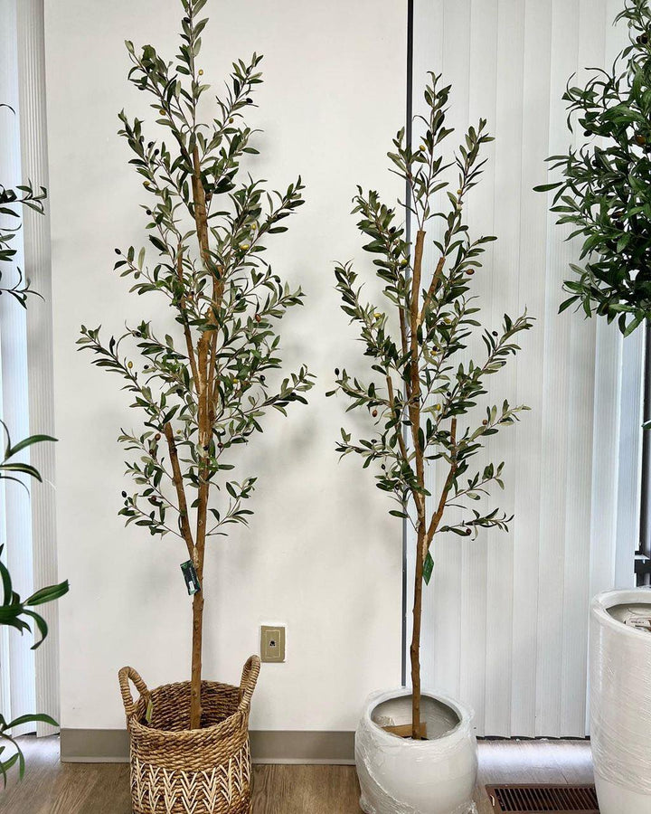 Two artificial olive trees stand side by side indoors. The tree on the left is in a woven basket, while the tree on the right is in a white pot. Both trees are placed against a light-colored wall with vertical blinds partially visible in the background.