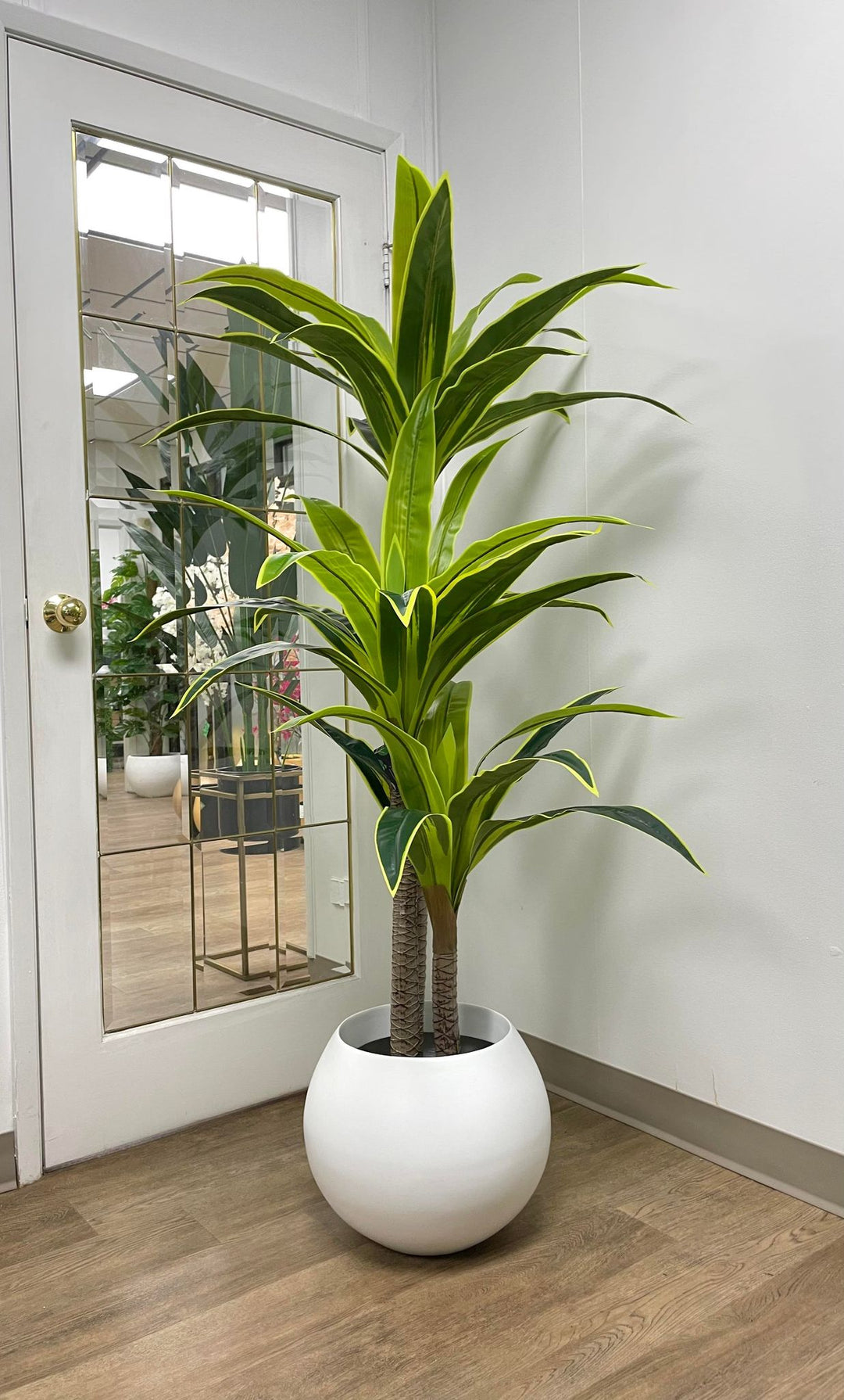 Artificial Dracaena plant with bold green leaves and yellow accents in a modern white round planter. This realistic faux plant is ideal for contemporary home or office decor, adding a touch of greenery and sophistication