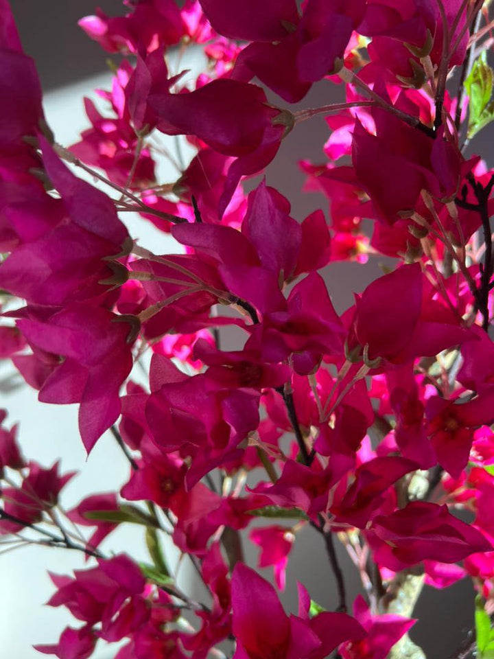 Close-up view of vibrant artificial pink flowers, with petals highlighted by natural sunlight, showcasing the intricate details and textures of the blossoms.