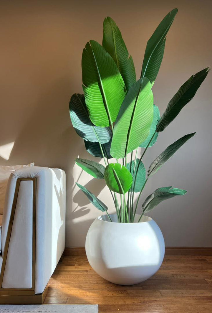 A tall, lush artificial bird of paradise plant placed in a modern white round planter. The plant, with its large green leaves, stands next to a stylish cream-colored sofa with gold accents. The scene is bathed in warm natural light, casting gentle shadows and highlighting the vibrant green of the leaves against a neutral wall and hardwood floor, creating a serene and elegant interior space.