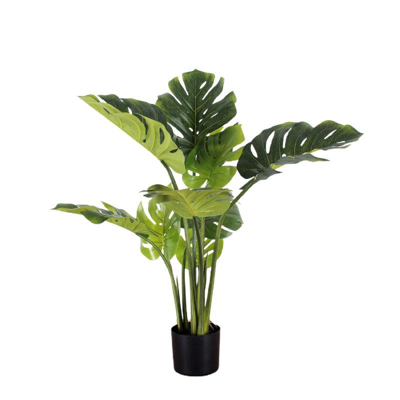 Monstera Potted Plant ( Shine) (4') - WAYSAVING