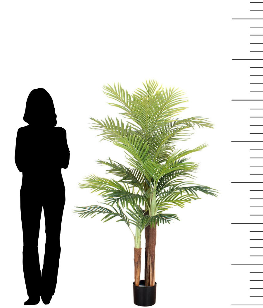 Scale comparison of a 5.5 ft artificial palm tree in a black planter next to a silhouette of a person for size reference.