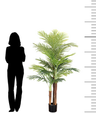 Load image into Gallery viewer, Artificial Palm Tree - 5.5&#39; (160cm)
