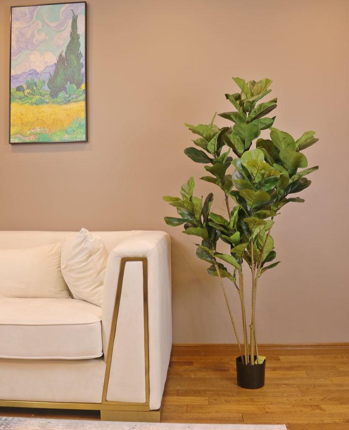 Figuier Violon Artificiel - 5ft / 150cm