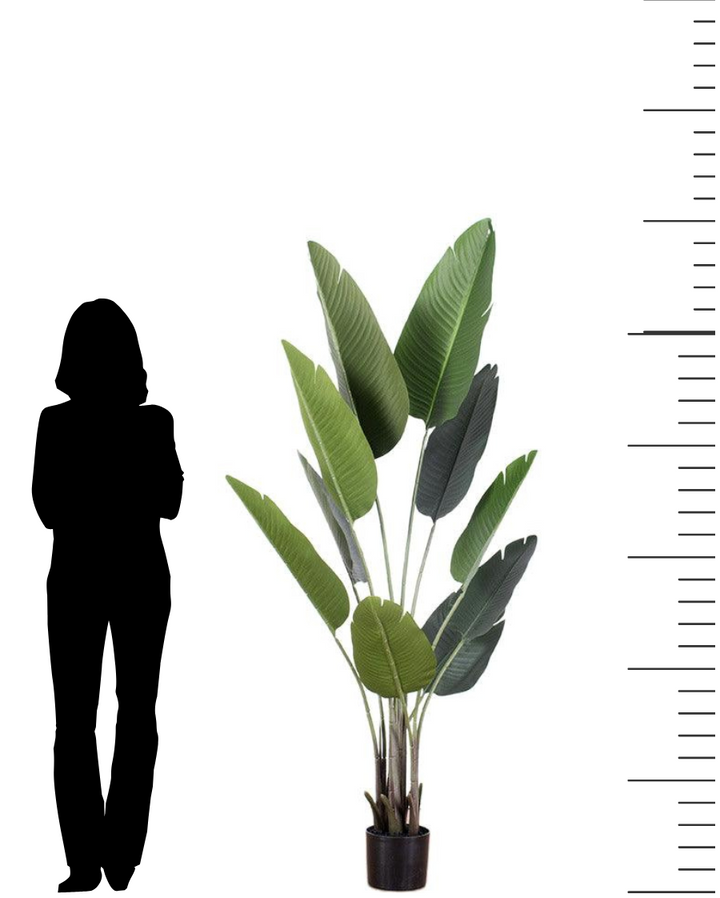 Artificial bird of paradise plant in a black pot, displayed alongside a silhouette of a woman for scale, highlighting the plant's height of 6 feet with large green leaves.