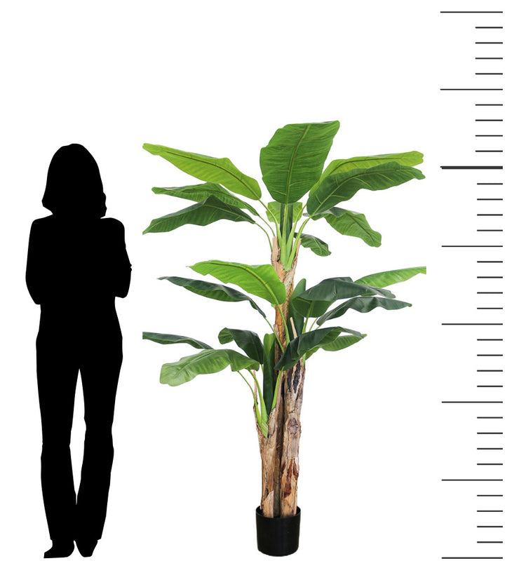 6ft artificial banana tree in a black pot, shown with a silhouette for scale, ideal for adding a tropical accent to indoor spaces with its large, realistic leaves