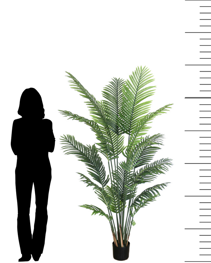 A 6ft artificial palm tree displayed with a silhouette for size reference, showcasing its height and natural-looking fronds. Ideal for both home and office décor, this palm tree brings a lush tropical feel to any space.