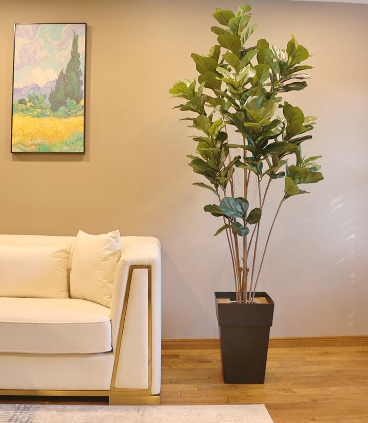 A stylish living room setup featuring a beige couch with a modern design, accompanied by a tall, lush fiddle-leaf fig tree in a white pot, positioned next to the couch. The room is warmly lit, with natural light casting soft shadows, enhancing the cozy ambiance. A colorful painting hangs above the couch, adding a touch of artistic flair to the space.