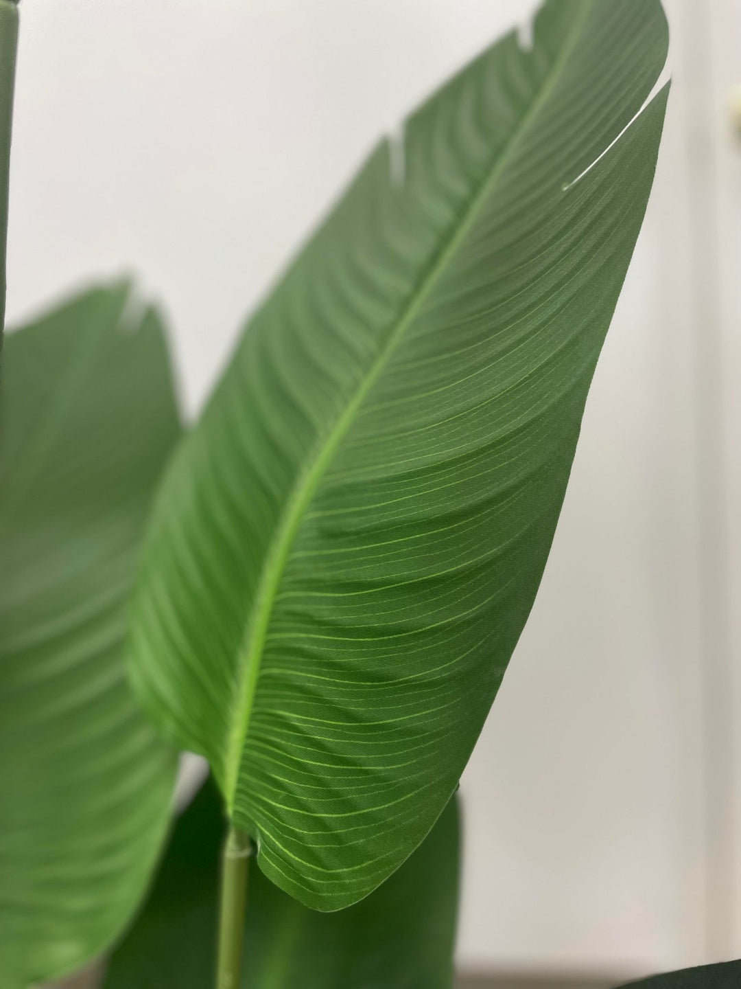 Close-up of large, vibrant green leaves of an artificial bird of paradise plant, showcasing the detailed texture and natural appearance of the foliage. 