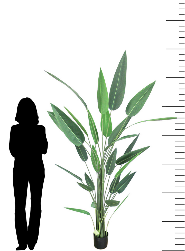 A 7ft tall artificial bird of paradise plant in a black pot, shown next to the silhouette of a standing woman for scale. The plant has tall, slender stems with long, pointed green leaves, demonstrating its large and impressive size.