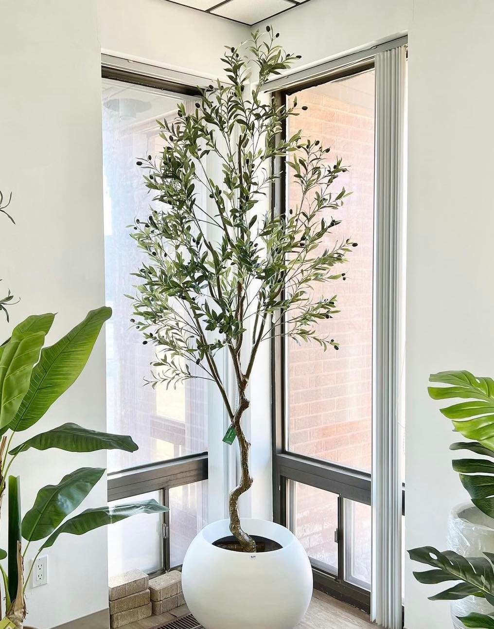 A tall artificial olive tree with lush green leaves and black olives stands in a modern, round white planter in a bright, sunlit corner of a room. 