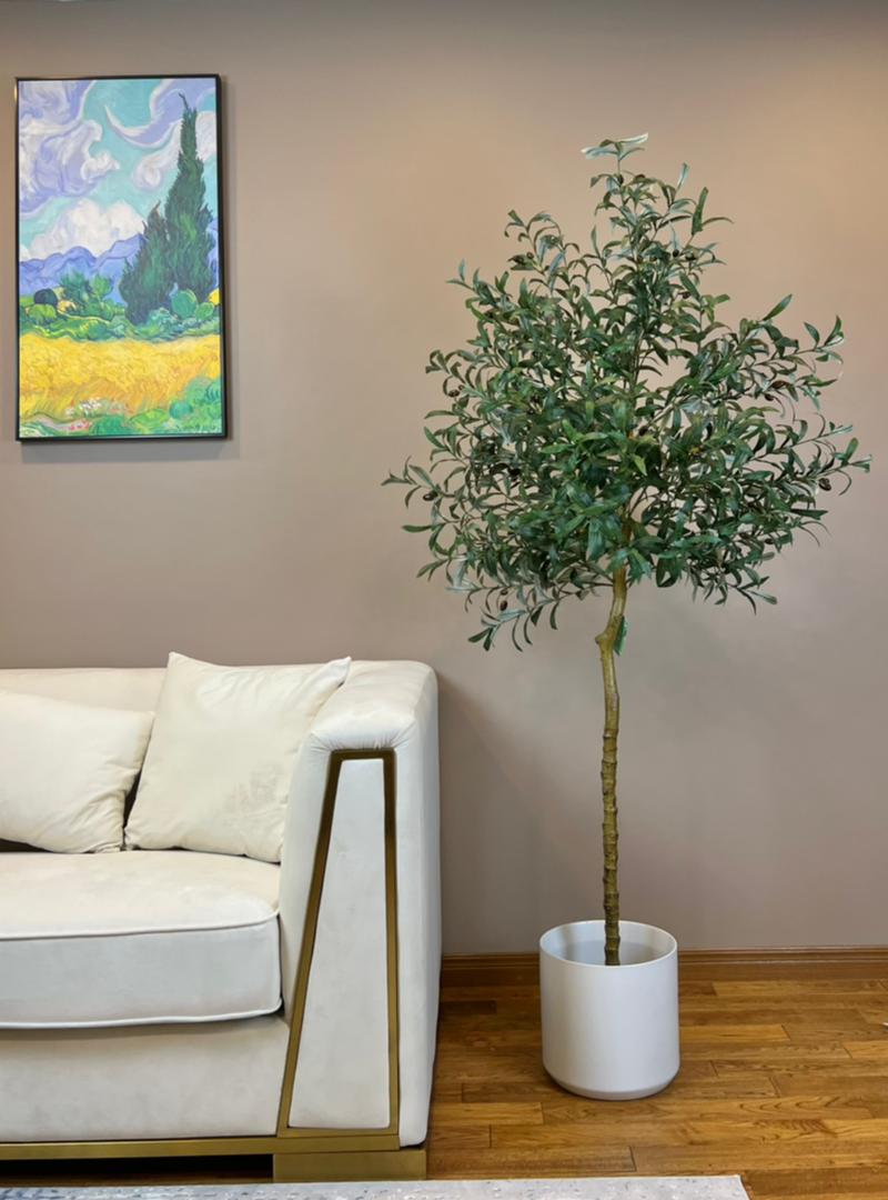 Artificial olive tree with slender green leaves and small black olives in a textured white pot placed near a sofa in a bright indoor space with wooden flooring.