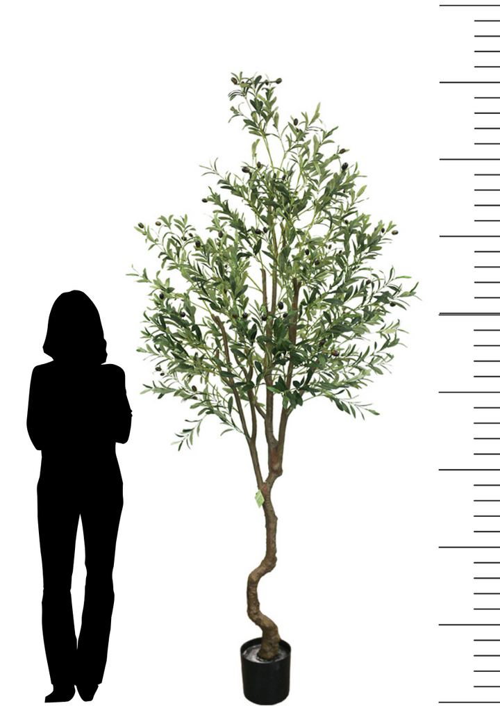 Size comparison of a 8-foot artificial olive tree in a black pot, shown next to the silhouette of a standing person for scale. The tree features realistic green leaves and branches, ideal for adding a touch of greenery to indoor spaces. The image also includes a height scale on the right side, emphasizing the tree's size.