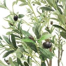 Load image into Gallery viewer, olive trees for decor
