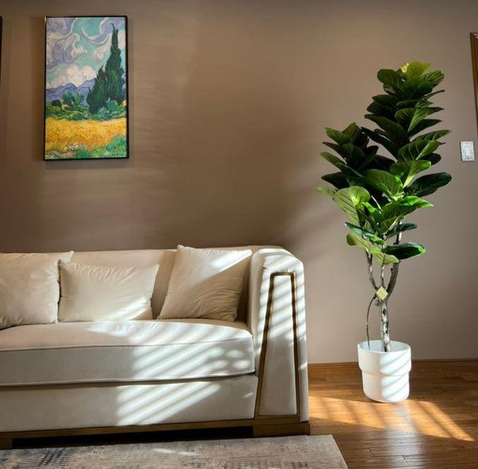 A stylish living room setup featuring a beige couch with a modern design, accompanied by a tall, lush fiddle-leaf fig tree in a white pot, positioned next to the couch. The room is warmly lit, with natural light casting soft shadows, enhancing the cozy ambiance. A colorful painting hangs above the couch, adding a touch of artistic flair to the space.