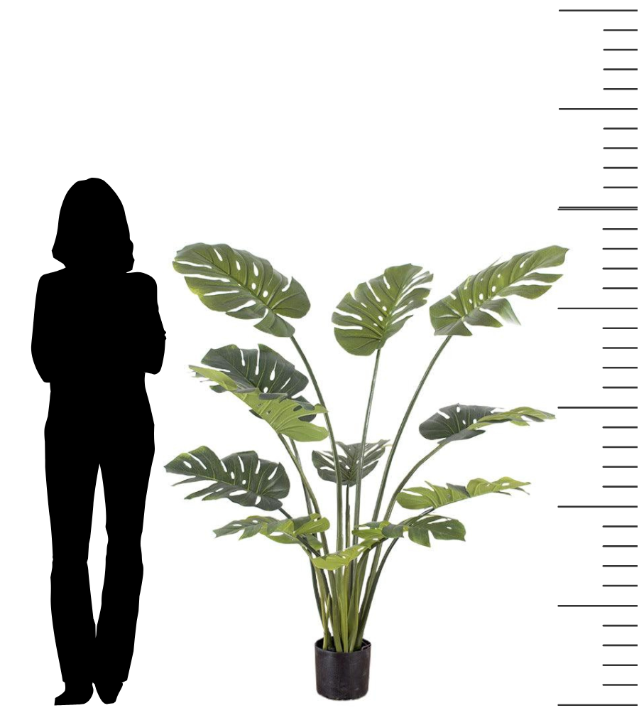 Artificial monstera plant measuring approximately 5 feet tall, displayed in a black pot. The image features a silhouette of a person for scale, highlighting the size of the plant. The monstera has large, split leaves with a natural green color, perfect for adding a tropical touch to indoor spaces