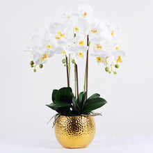 Charger l&#39;image dans la galerie, Orchidée artificielle - Blanche avec vase doré
