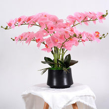 Load image into Gallery viewer, Elegant arrangement of artificial pink orchids in a sleek black pot. The vibrant pink flowers cascade gracefully, complemented by lush green leaves, making it a perfect decorative piece for adding a pop of color to any space.
